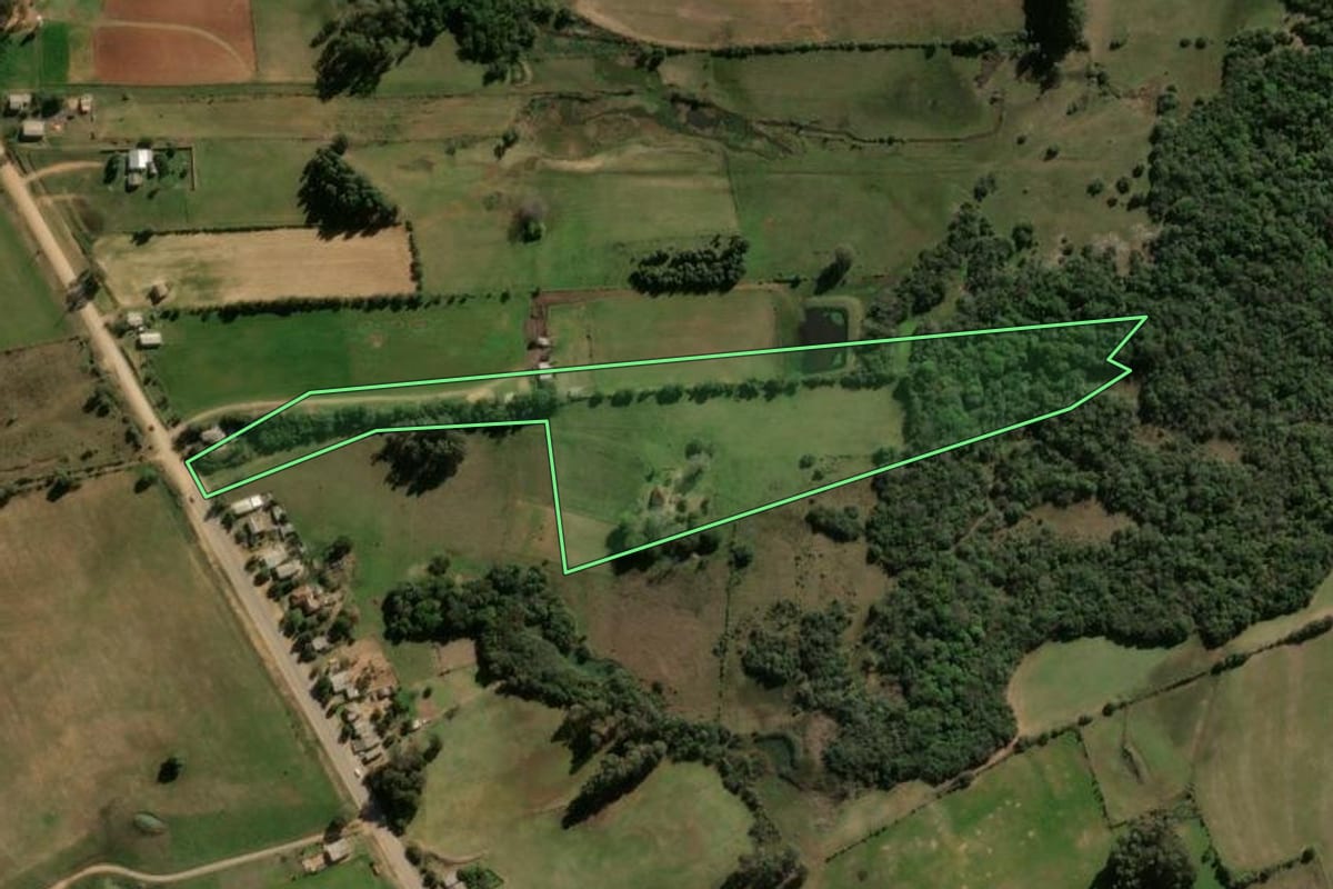Imagem de satélite do imóvel rural em Vila Nova do Sul (RS), com o contorno declarado no CAR desenhado por cima.