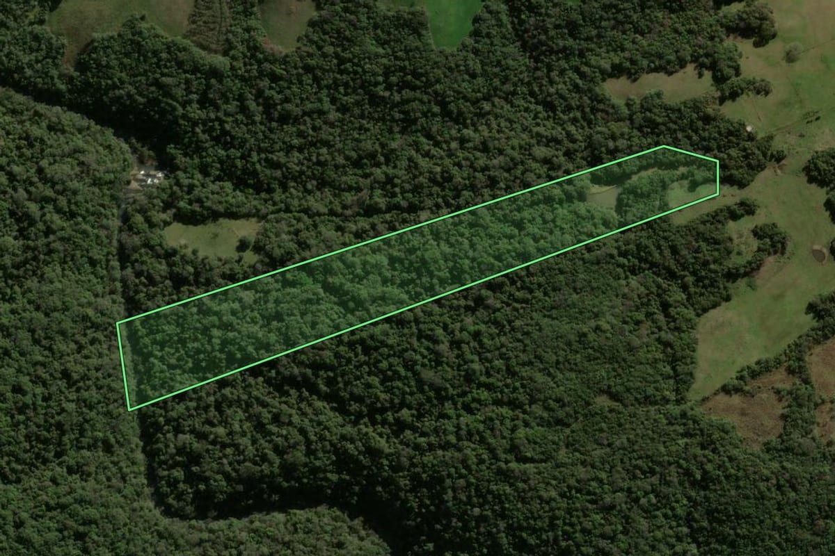 Imagem de satélite do imóvel rural em Vila Nova do Sul (RS), com o contorno declarado no CAR desenhado por cima.