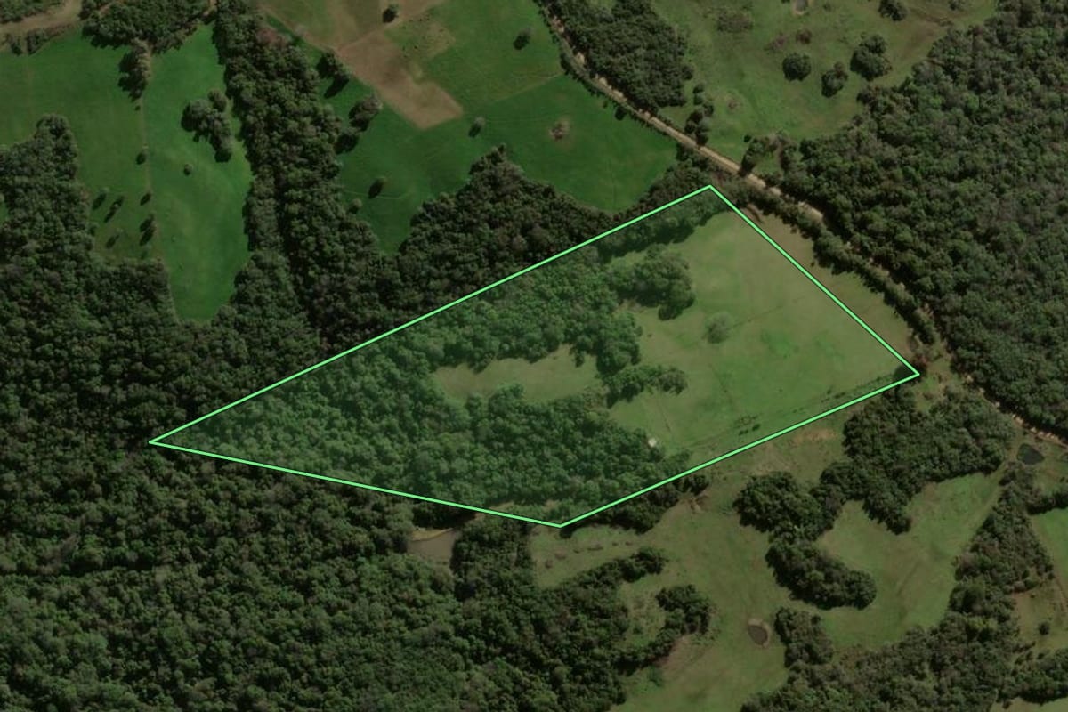 Imagem de satélite do imóvel rural em Vila Nova do Sul (RS), com o contorno declarado no CAR desenhado por cima.