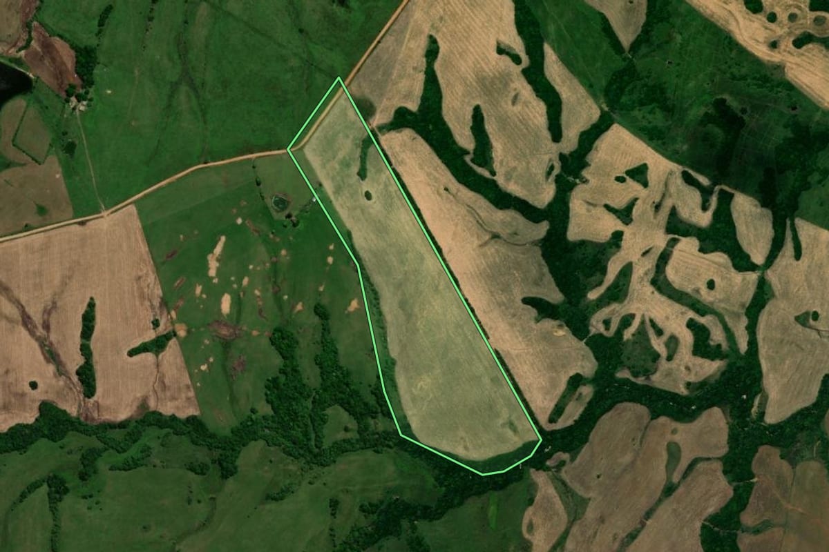 Imagem de satélite do imóvel rural em Vila Nova do Sul (RS), com o contorno declarado no CAR desenhado por cima.