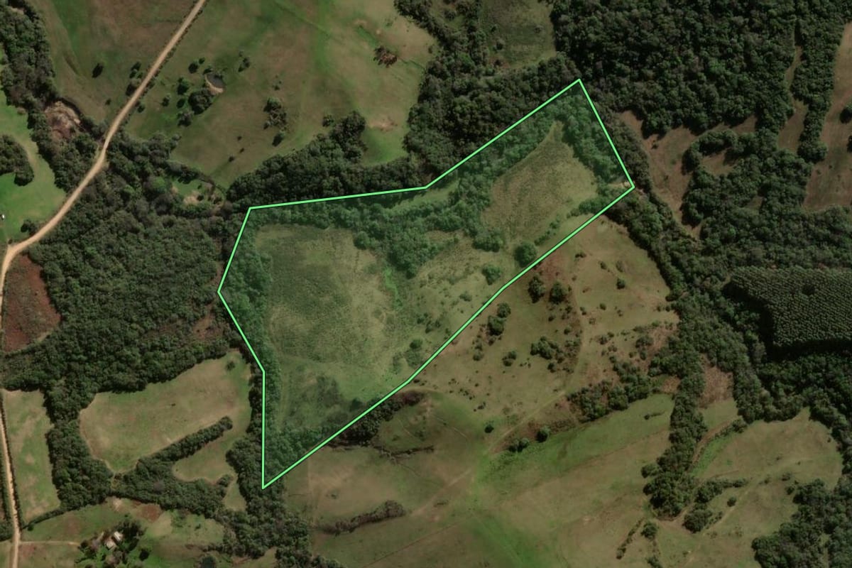 Imagem de satélite do imóvel rural em Vila Nova do Sul (RS), com o contorno declarado no CAR desenhado por cima.