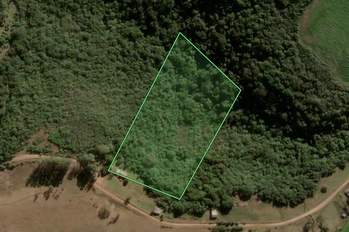 Imagem de satélite do imóvel rural em Vila Nova do Sul (RS), com o contorno declarado no CAR desenhado por cima.