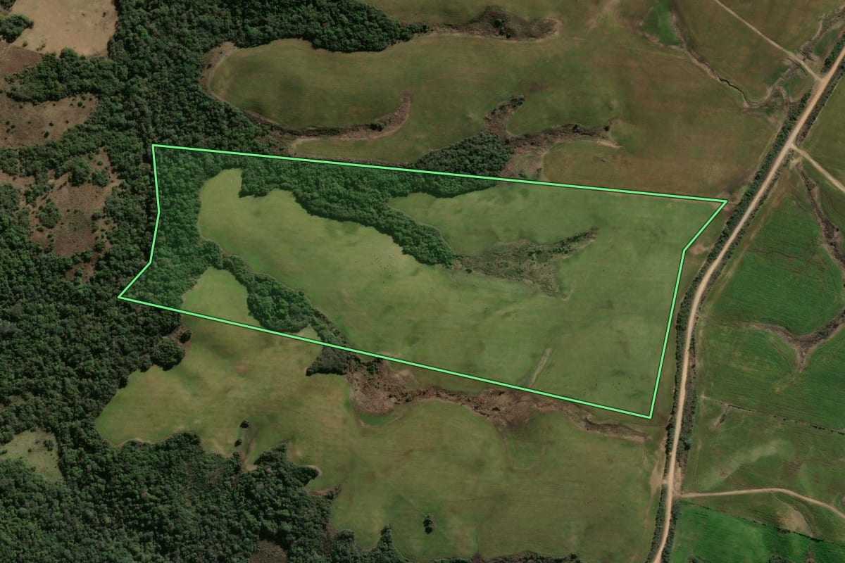 Imagem de satélite do imóvel rural em Vila Nova do Sul (RS), com o contorno declarado no CAR desenhado por cima.