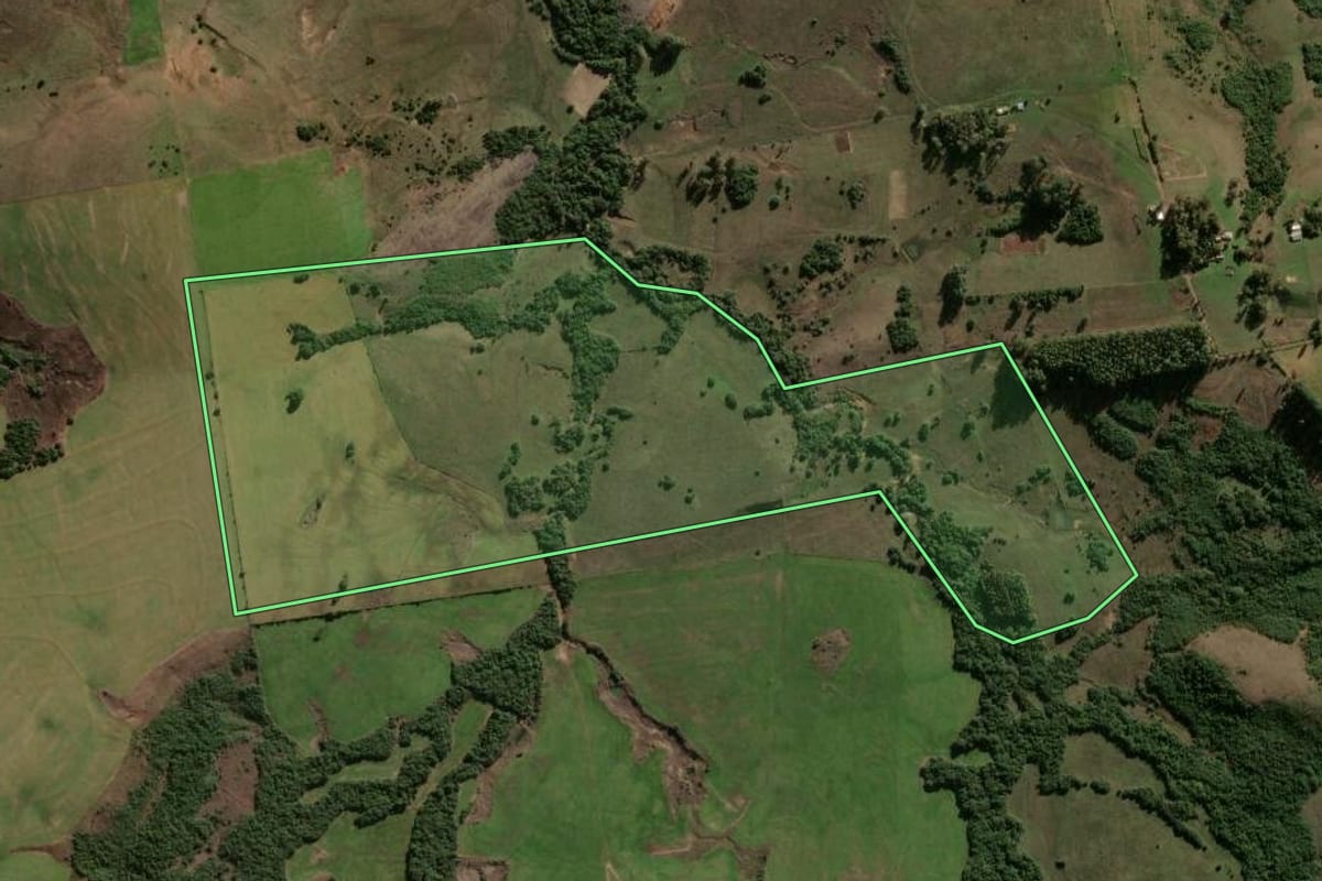 Imagem de satélite do imóvel rural em Vila Nova do Sul (RS), com o contorno declarado no CAR desenhado por cima.