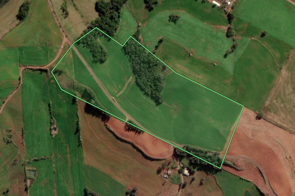 Imagem de satélite do imóvel rural em Vista Alegre (RS), com o contorno declarado no CAR desenhado por cima.