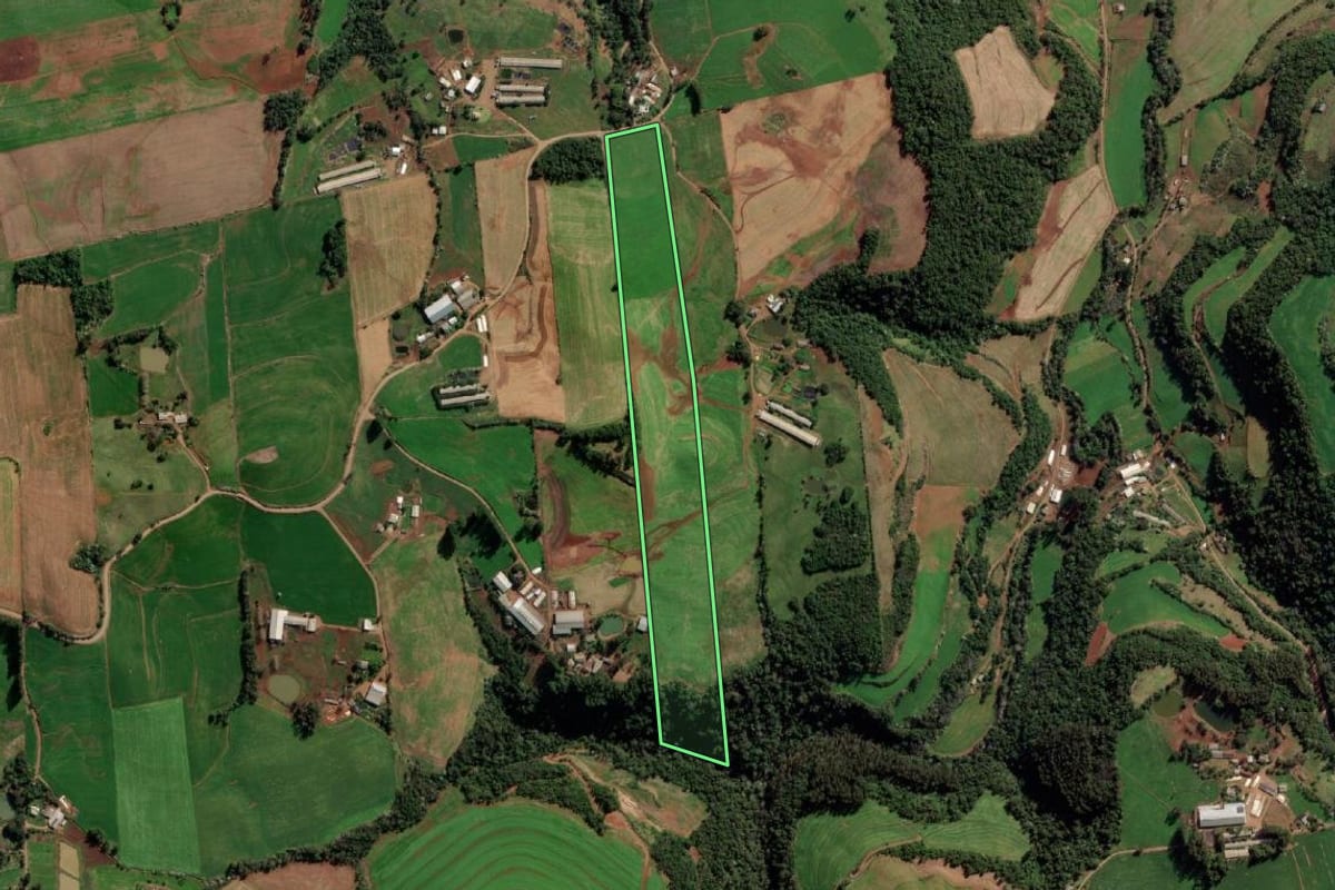 Imagem de satélite do imóvel rural em Vista Alegre (RS), com o contorno declarado no CAR desenhado por cima.