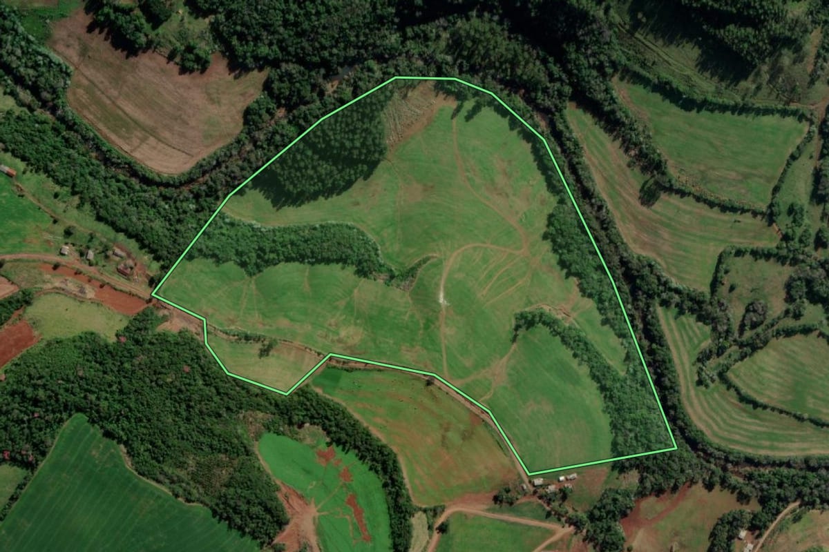 Imagem de satélite do imóvel rural em Vista Alegre (RS), com o contorno declarado no CAR desenhado por cima.
