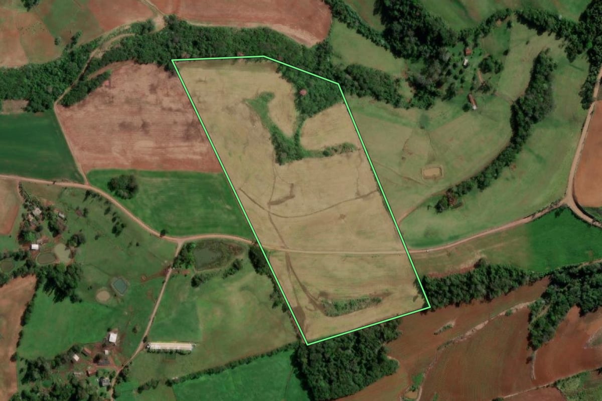 Imagem de satélite do imóvel rural em Vista Alegre (RS), com o contorno declarado no CAR desenhado por cima.