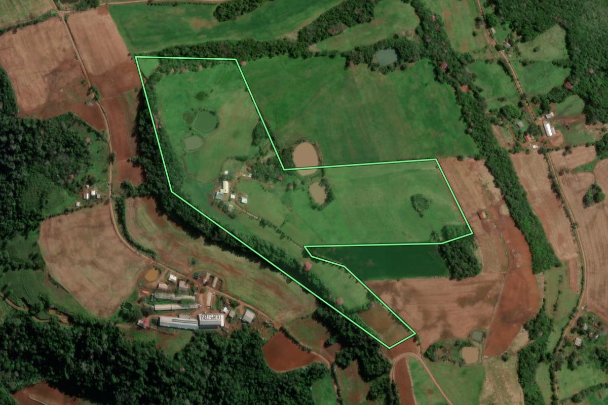 Imagem de satélite do imóvel rural em Vista Alegre (RS), com o contorno declarado no CAR desenhado por cima.