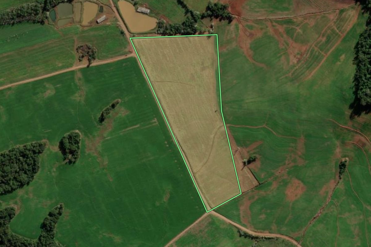 Imagem de satélite do imóvel rural em Vista Alegre (RS), com o contorno declarado no CAR desenhado por cima.