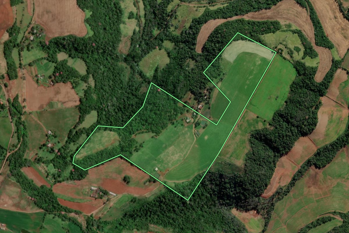 Imagem de satélite do imóvel rural em Vista Alegre (RS), com o contorno declarado no CAR desenhado por cima.