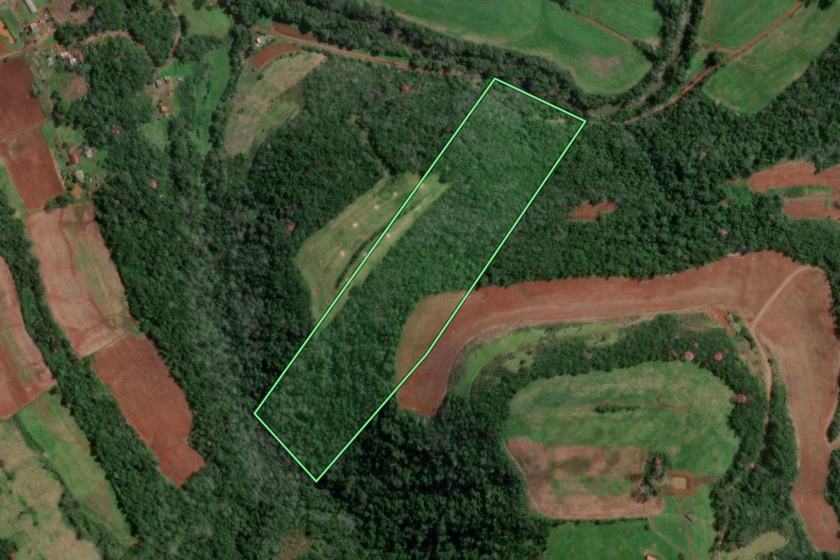 Imagem de satélite do imóvel rural em Vista Alegre (RS), com o contorno declarado no CAR desenhado por cima.