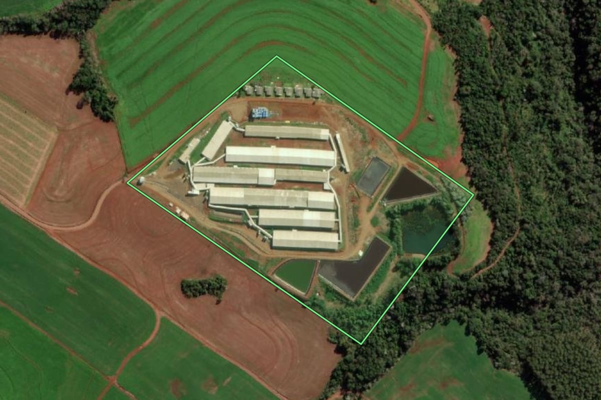 Imagem de satélite do imóvel rural em Vista Alegre (RS), com o contorno declarado no CAR desenhado por cima.