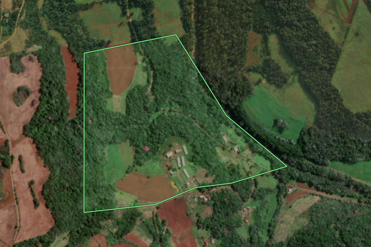 Imagem de satélite do imóvel rural em Vista Alegre (RS), com o contorno declarado no CAR desenhado por cima.