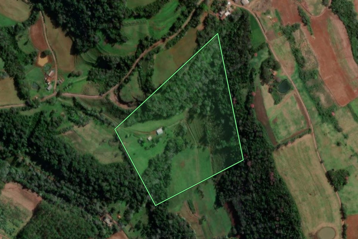 Imagem de satélite do imóvel rural em Vista Alegre (RS), com o contorno declarado no CAR desenhado por cima.