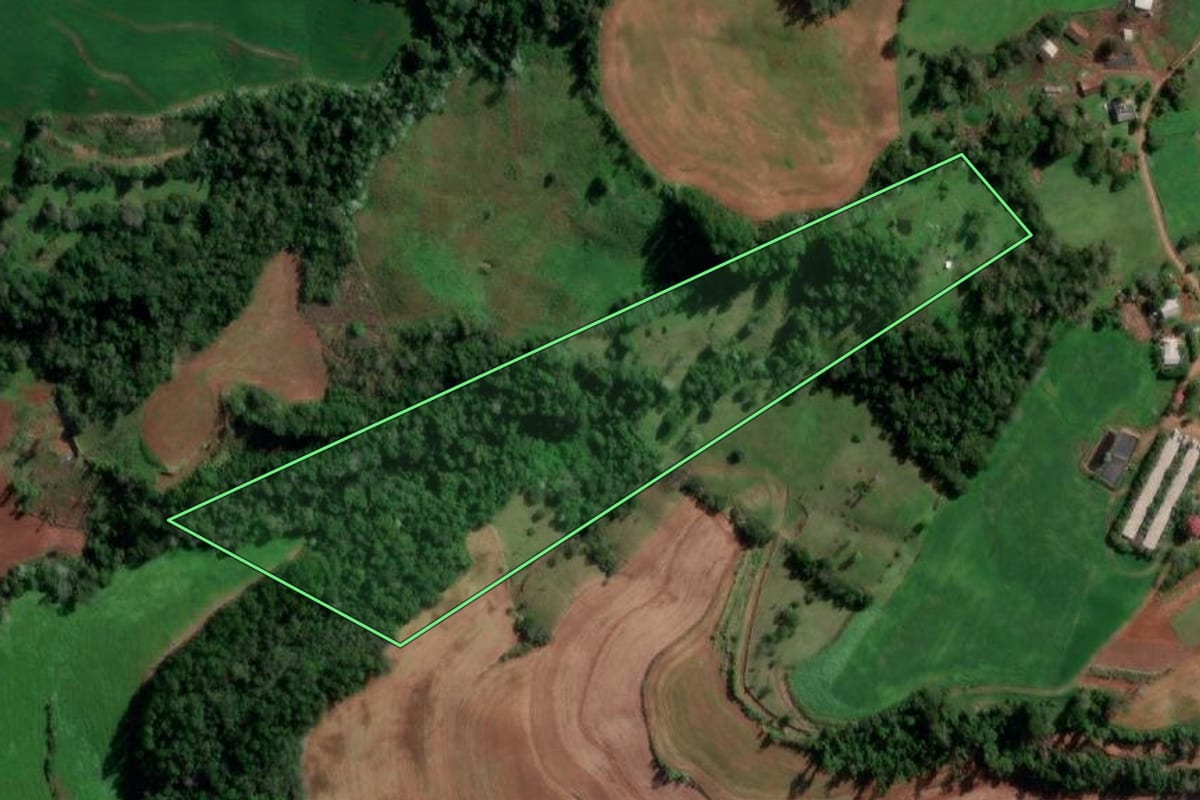 Imagem de satélite do imóvel rural em Vista Alegre (RS), com o contorno declarado no CAR desenhado por cima.
