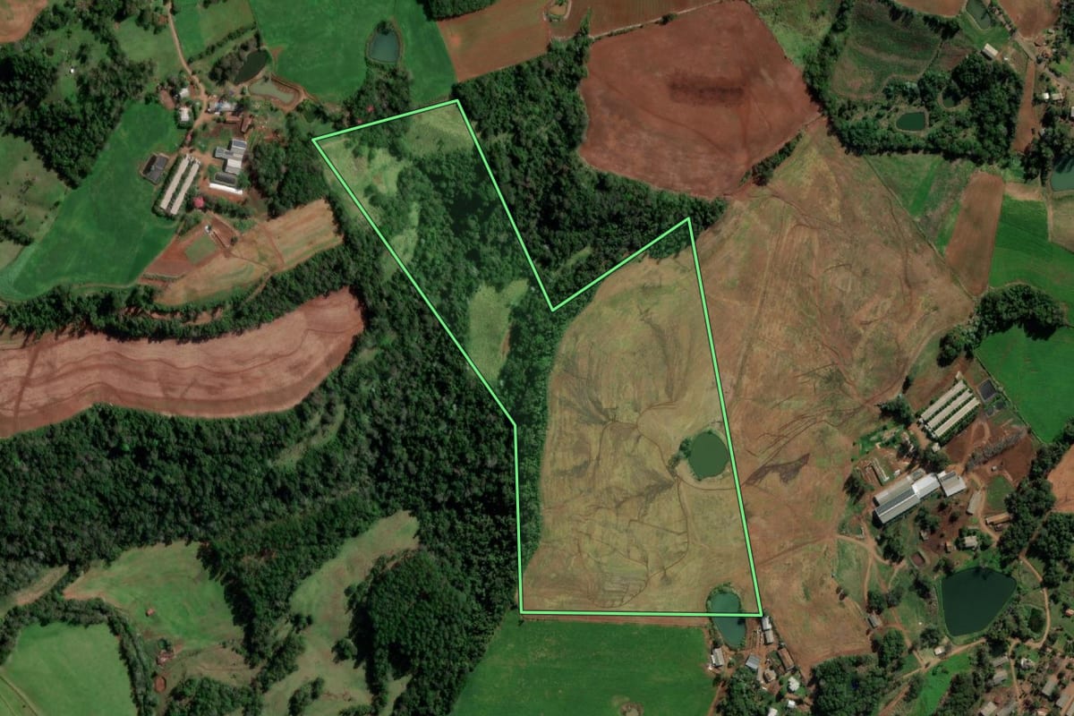 Imagem de satélite do imóvel rural em Vista Alegre (RS), com o contorno declarado no CAR desenhado por cima.