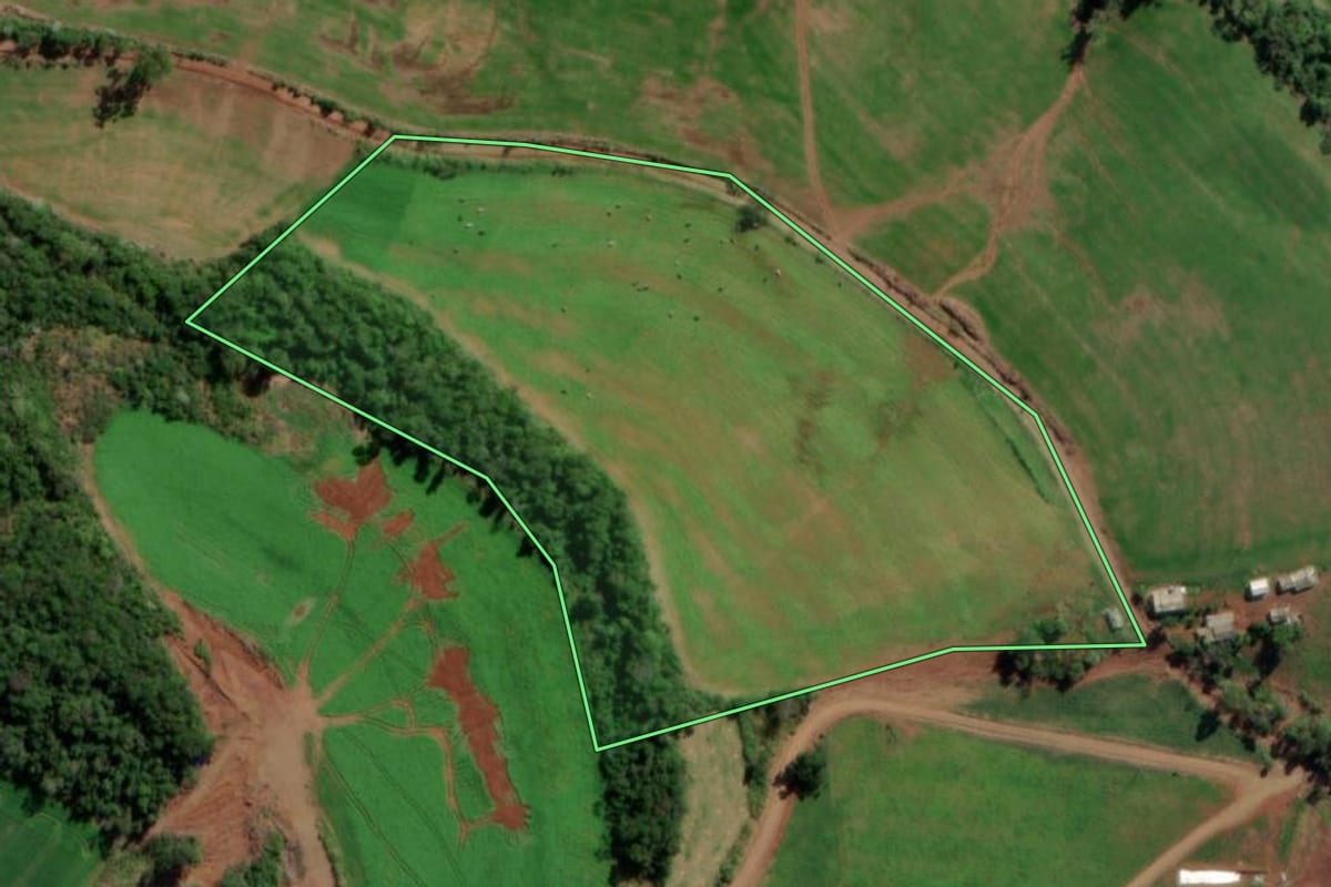 Imagem de satélite do imóvel rural em Vista Alegre (RS), com o contorno declarado no CAR desenhado por cima.