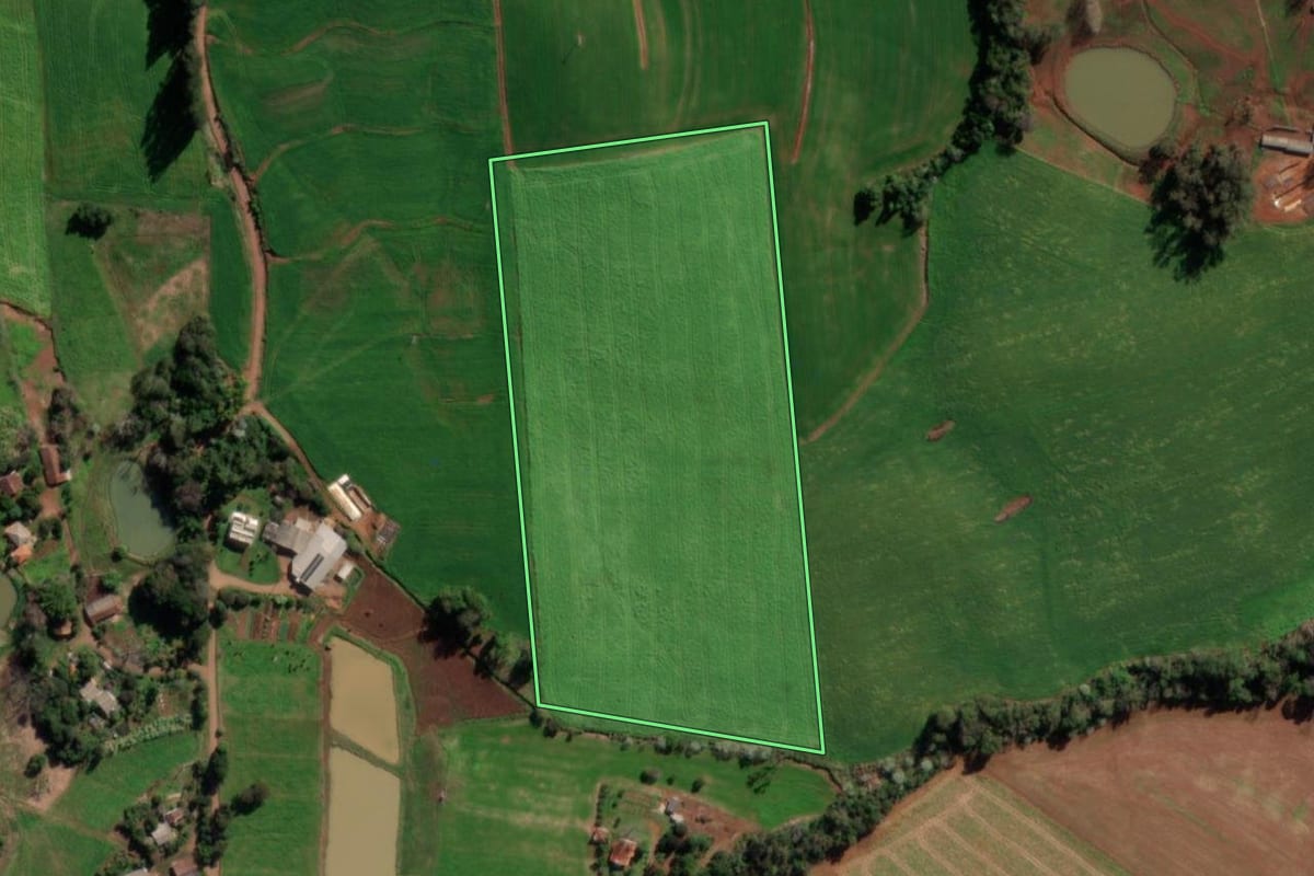 Imagem de satélite do imóvel rural em Vista Alegre (RS), com o contorno declarado no CAR desenhado por cima.