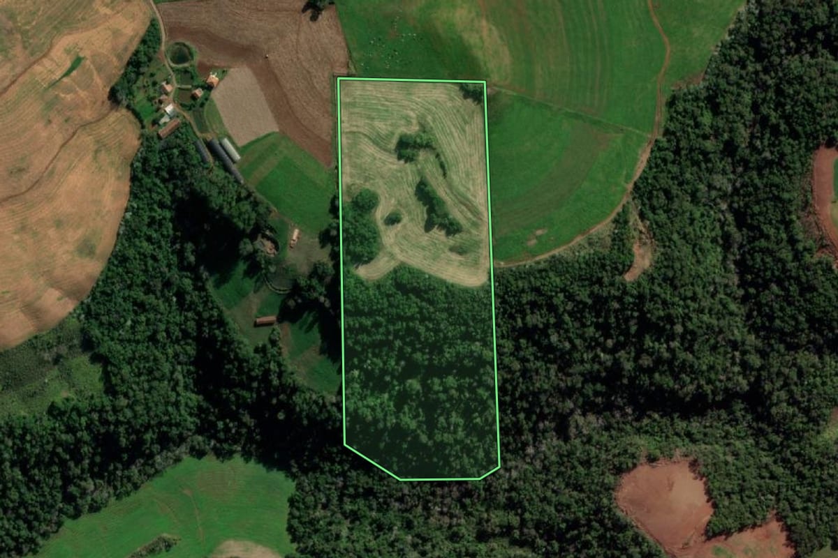 Imagem de satélite do imóvel rural em Vista Alegre (RS), com o contorno declarado no CAR desenhado por cima.