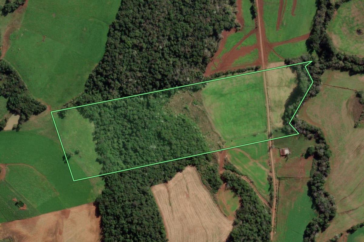 Imagem de satélite do imóvel rural em Vista Alegre (RS), com o contorno declarado no CAR desenhado por cima.