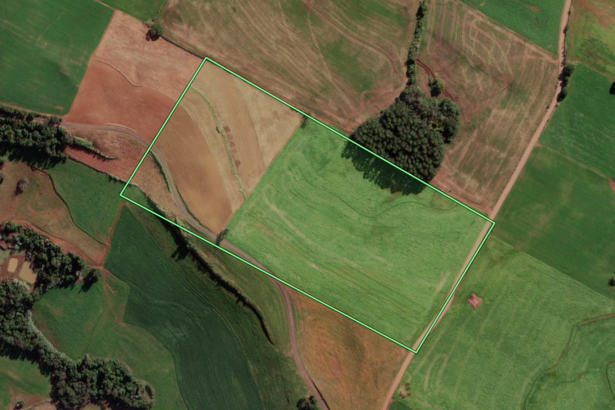 Imagem de satélite do imóvel rural em Vista Alegre (RS), com o contorno declarado no CAR desenhado por cima.