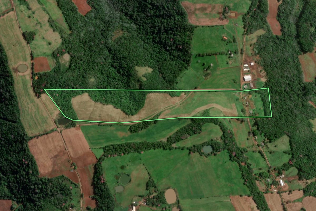 Imagem de satélite do imóvel rural em Vista Alegre (RS), com o contorno declarado no CAR desenhado por cima.