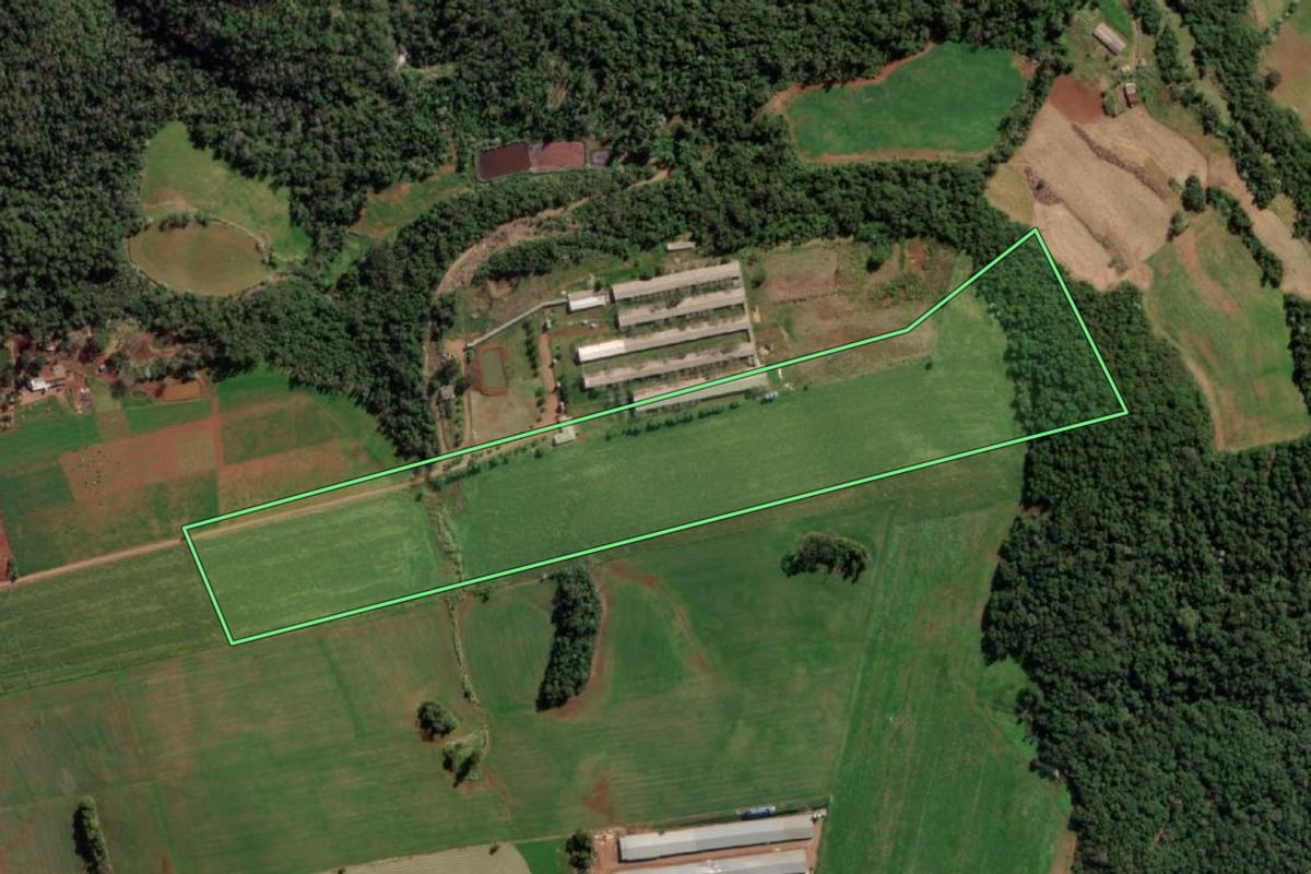 Imagem de satélite do imóvel rural em Vista Alegre (RS), com o contorno declarado no CAR desenhado por cima.