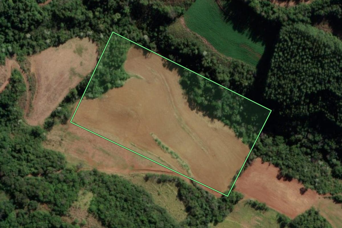 Imagem de satélite do imóvel rural em Vista Alegre (RS), com o contorno declarado no CAR desenhado por cima.