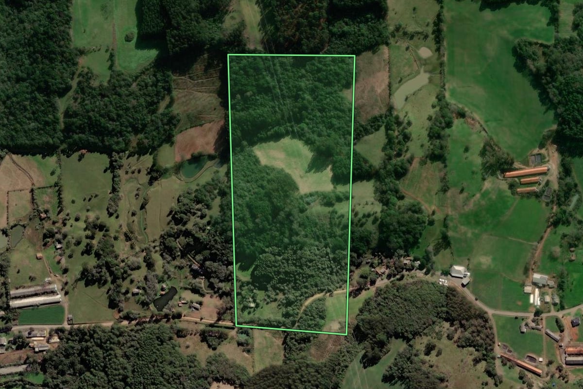 Imagem de satélite do imóvel rural em Vista Alegre do Prata (RS), com o contorno declarado no CAR desenhado por cima.