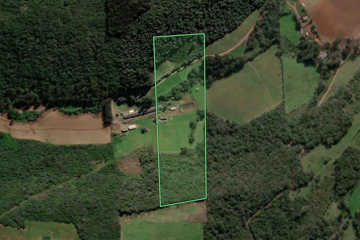 Imagem de satélite do imóvel rural em Vista Alegre do Prata (RS), com o contorno declarado no CAR desenhado por cima.