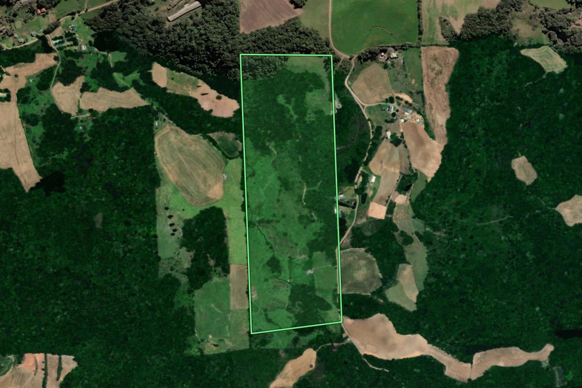 Imagem de satélite do imóvel rural em Vista Alegre do Prata (RS), com o contorno declarado no CAR desenhado por cima.