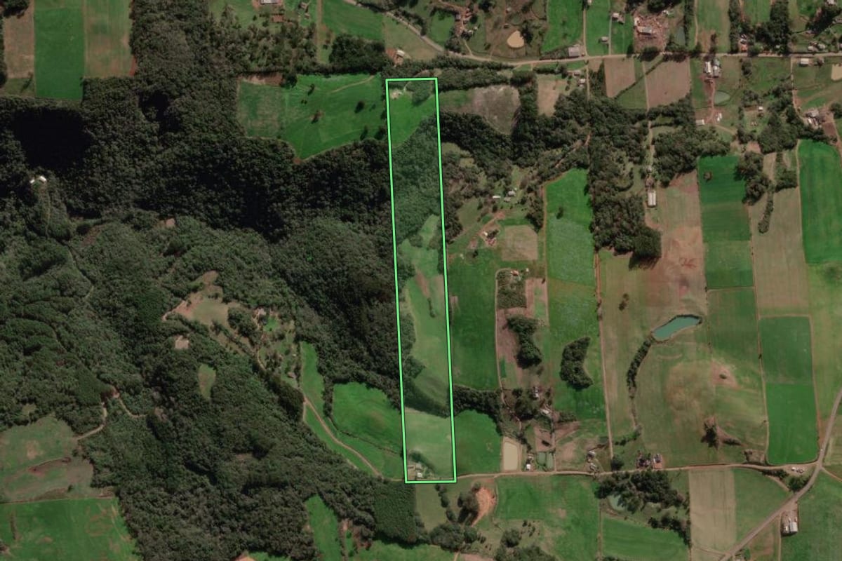 Imagem de satélite do imóvel rural em Vista Alegre do Prata (RS), com o contorno declarado no CAR desenhado por cima.