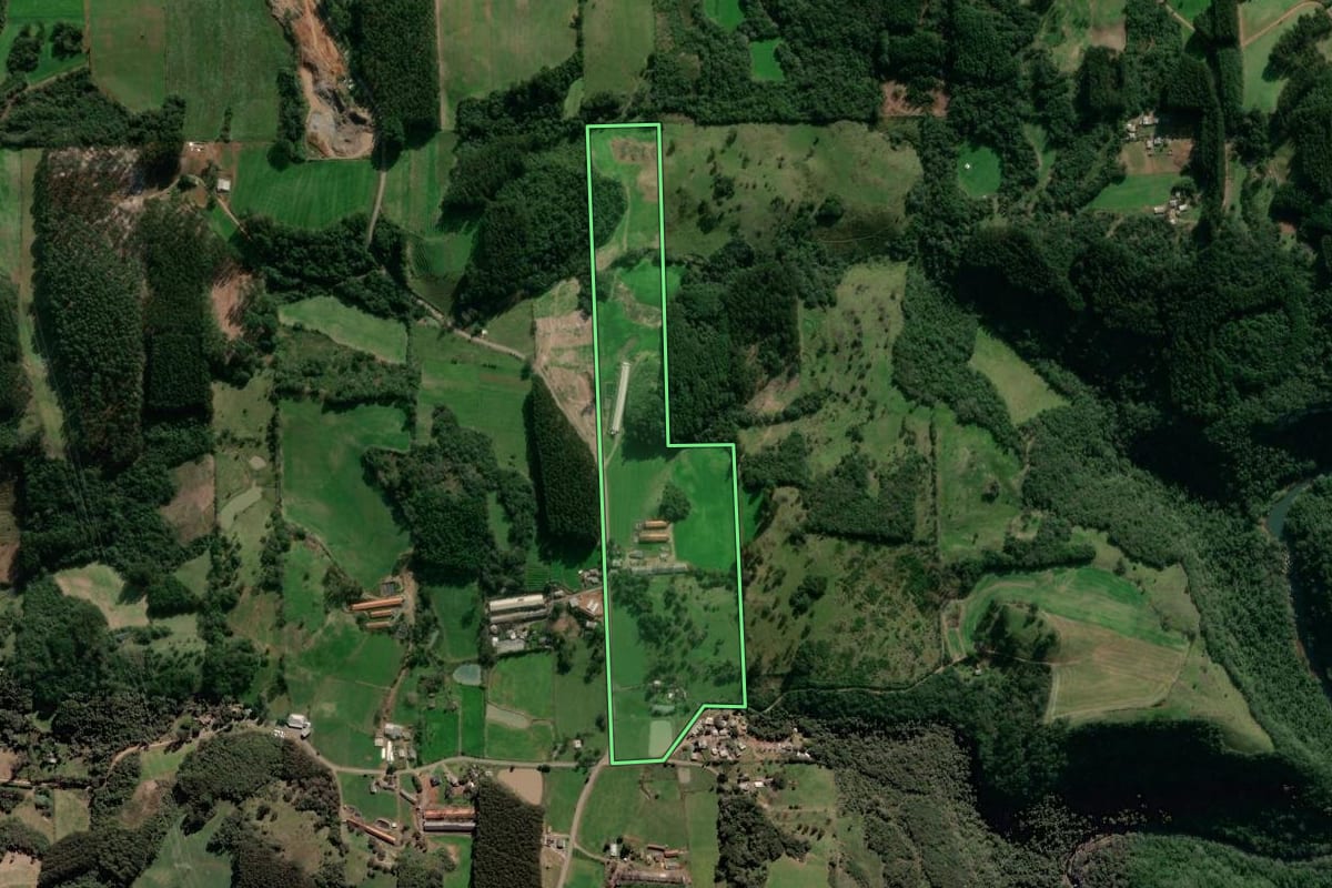 Imagem de satélite do imóvel rural em Vista Alegre do Prata (RS), com o contorno declarado no CAR desenhado por cima.