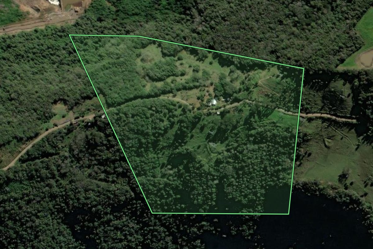 Imagem de satélite do imóvel rural em Vista Alegre do Prata (RS), com o contorno declarado no CAR desenhado por cima.