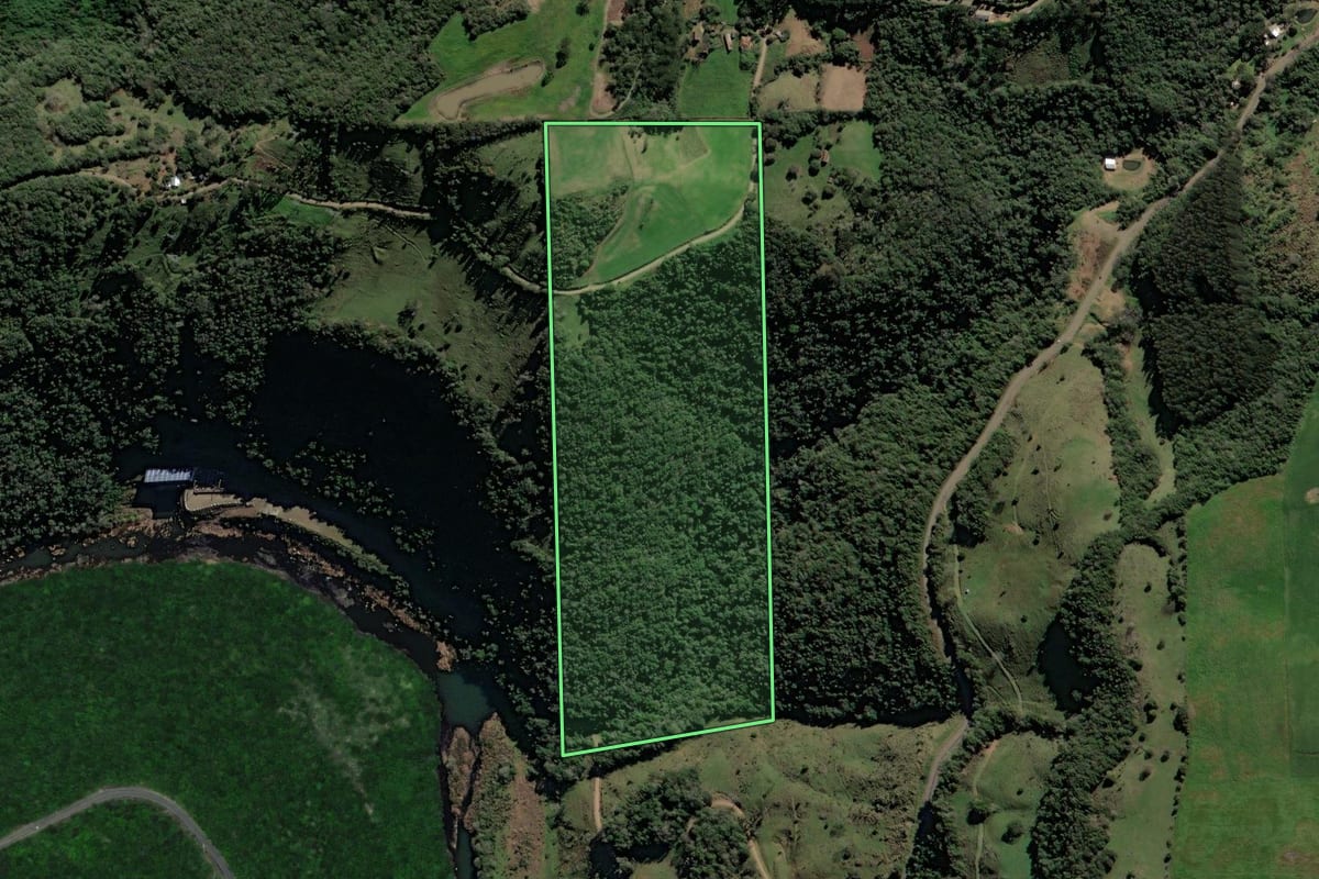 Imagem de satélite do imóvel rural em Vista Alegre do Prata (RS), com o contorno declarado no CAR desenhado por cima.