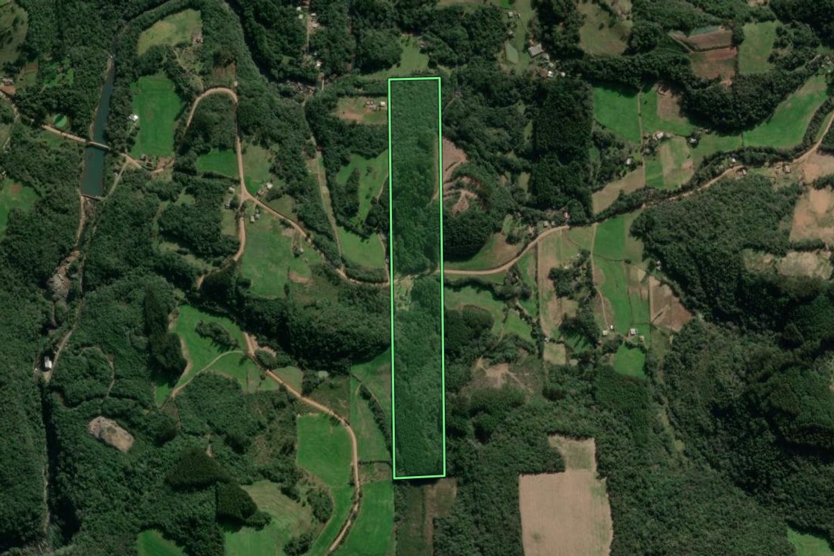 Imagem de satélite do imóvel rural em Vista Alegre do Prata (RS), com o contorno declarado no CAR desenhado por cima.