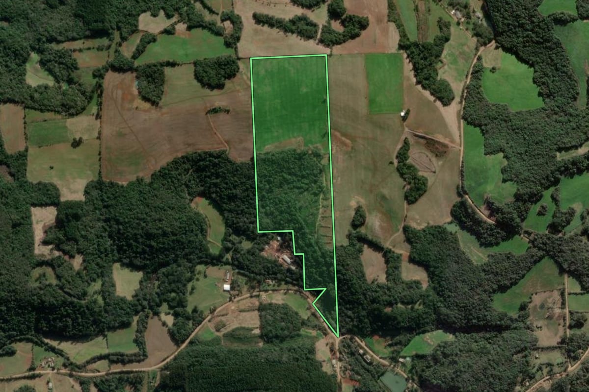 Imagem de satélite do imóvel rural em Vista Alegre do Prata (RS), com o contorno declarado no CAR desenhado por cima.