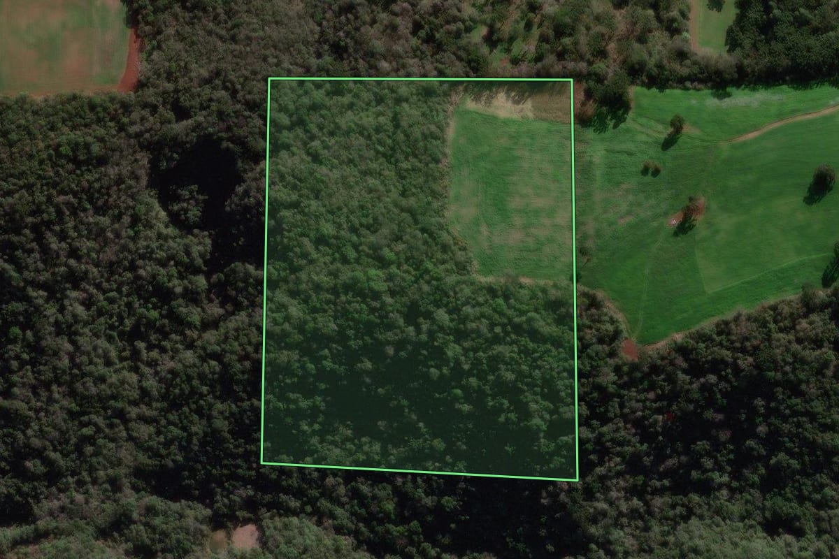 Imagem de satélite do imóvel rural em Vista Alegre do Prata (RS), com o contorno declarado no CAR desenhado por cima.