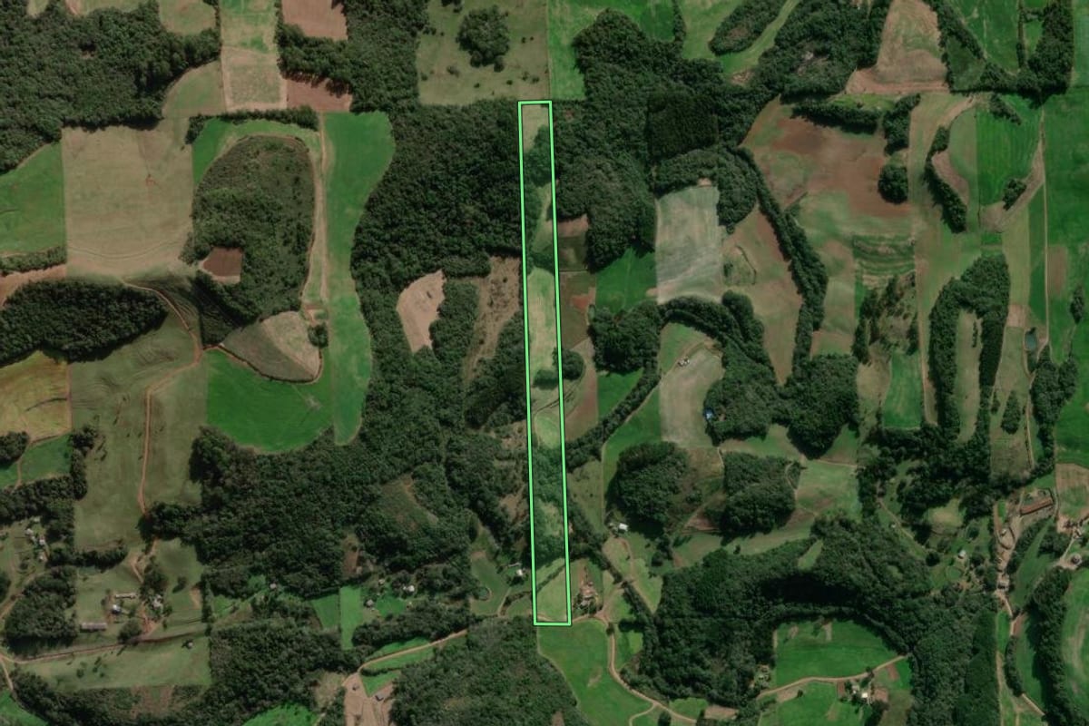Imagem de satélite do imóvel rural em Vista Alegre do Prata (RS), com o contorno declarado no CAR desenhado por cima.
