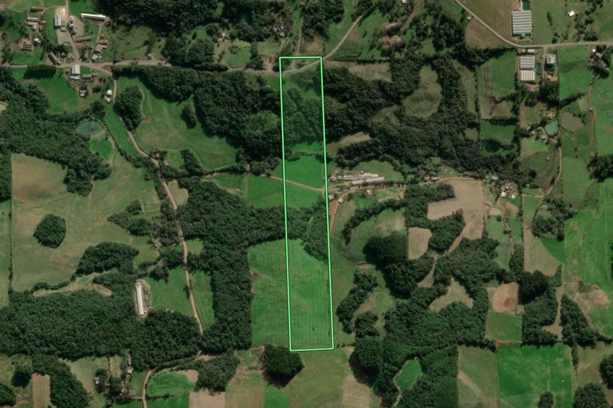 Imagem de satélite do imóvel rural em Vista Alegre do Prata (RS), com o contorno declarado no CAR desenhado por cima.