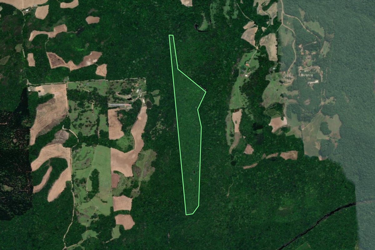 Imagem de satélite do imóvel rural em Vista Alegre do Prata (RS), com o contorno declarado no CAR desenhado por cima.