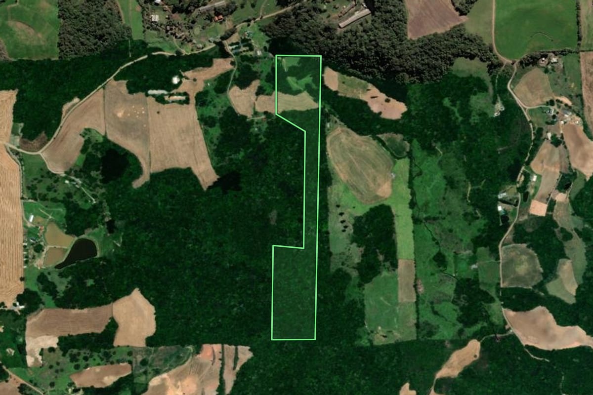 Imagem de satélite do imóvel rural em Vista Alegre do Prata (RS), com o contorno declarado no CAR desenhado por cima.