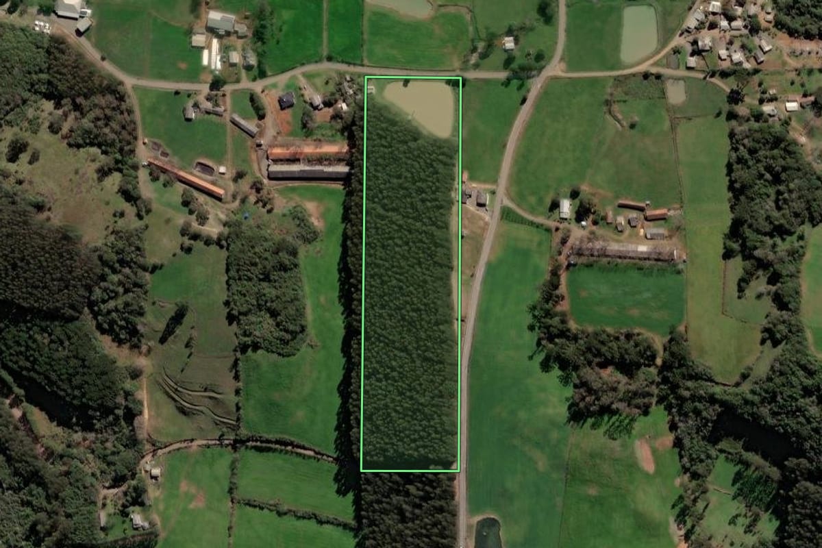 Imagem de satélite do imóvel rural em Vista Alegre do Prata (RS), com o contorno declarado no CAR desenhado por cima.