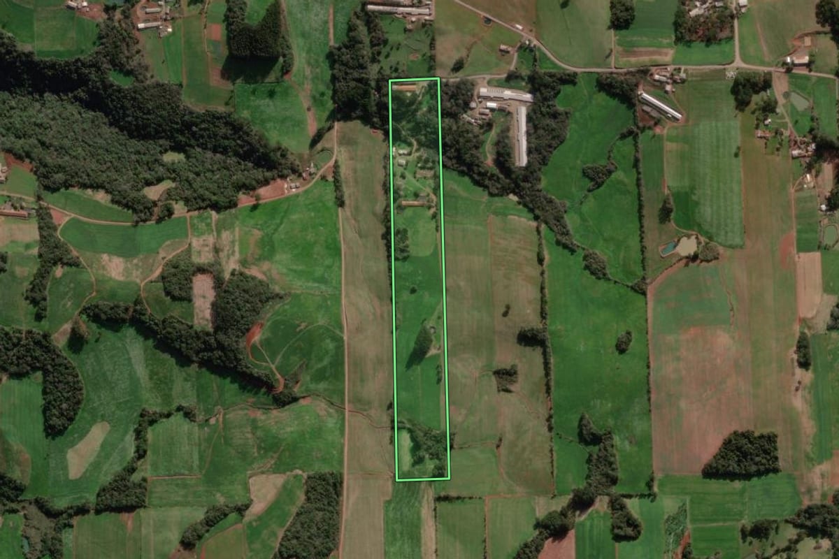 Imagem de satélite do imóvel rural em Vista Alegre do Prata (RS), com o contorno declarado no CAR desenhado por cima.