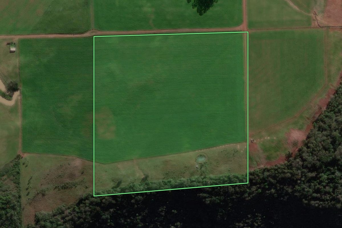 Imagem de satélite do imóvel rural em Vista Alegre do Prata (RS), com o contorno declarado no CAR desenhado por cima.
