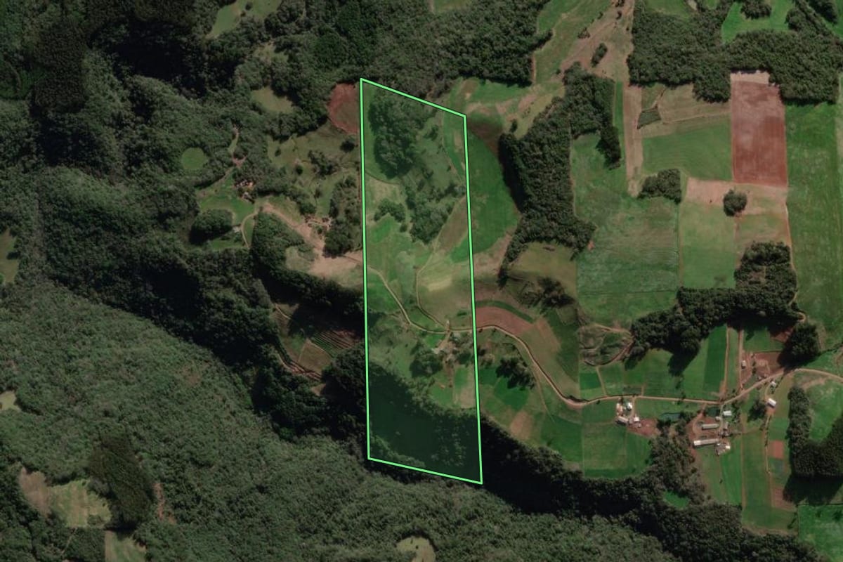 Imagem de satélite do imóvel rural em Vista Alegre do Prata (RS), com o contorno declarado no CAR desenhado por cima.