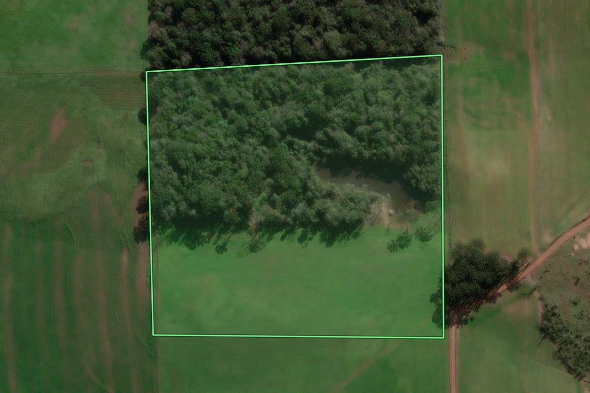Imagem de satélite do imóvel rural em Vista Alegre do Prata (RS), com o contorno declarado no CAR desenhado por cima.
