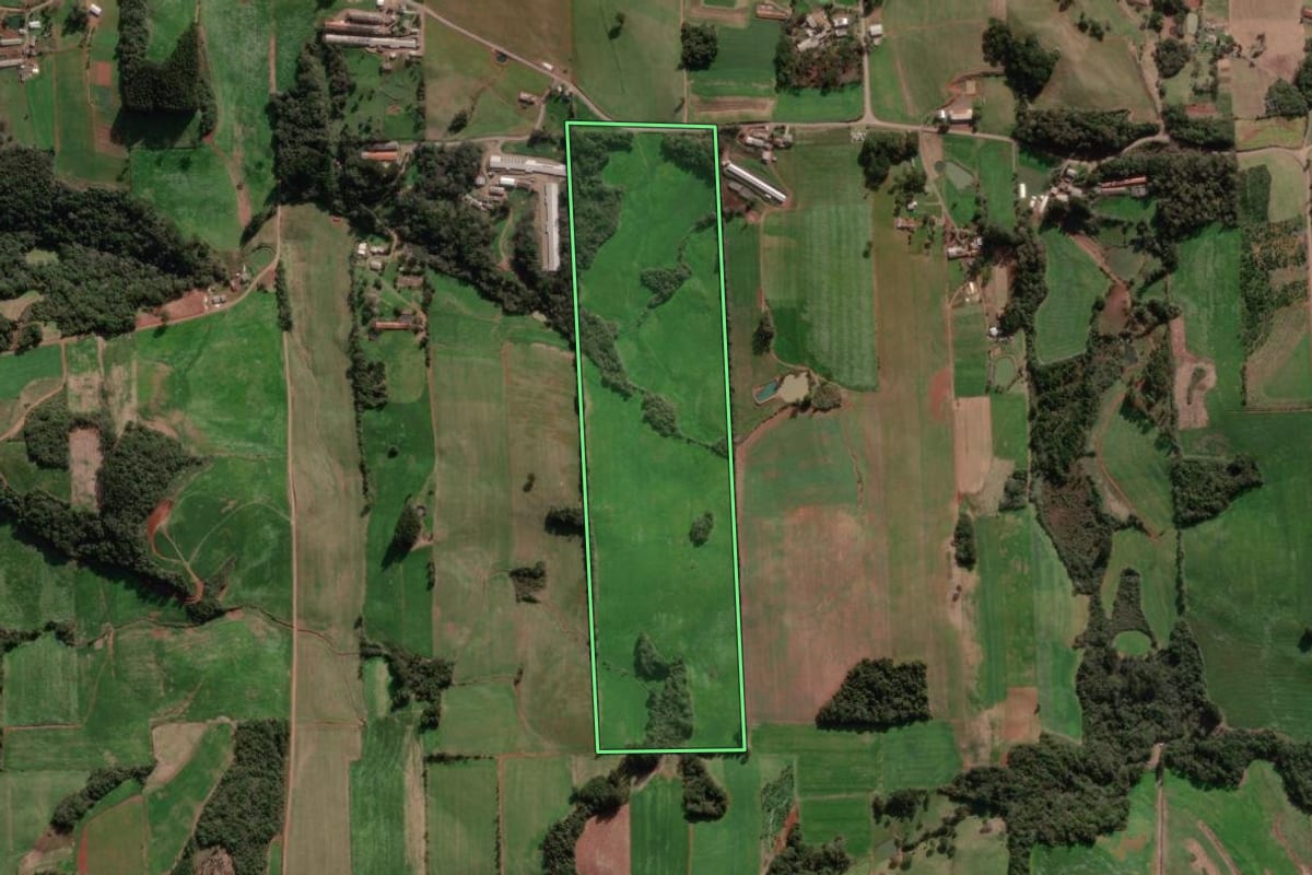Imagem de satélite do imóvel rural em Vista Alegre do Prata (RS), com o contorno declarado no CAR desenhado por cima.