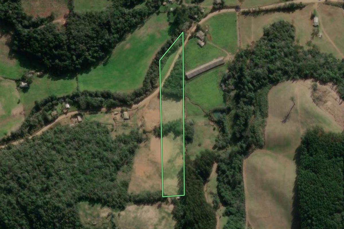Imagem de satélite do imóvel rural em Vista Alegre do Prata (RS), com o contorno declarado no CAR desenhado por cima.